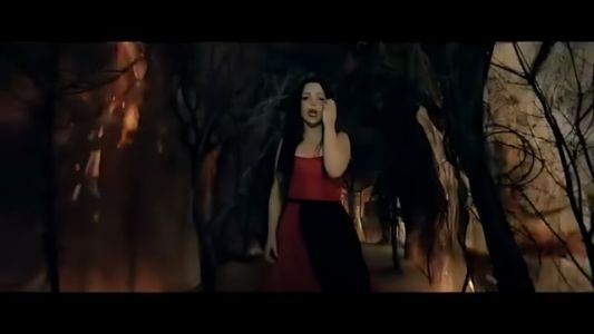 Evanescence - Sweet Sacrifice