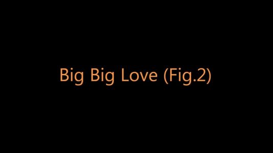 Foals - Big Big Love (Fig. 2)