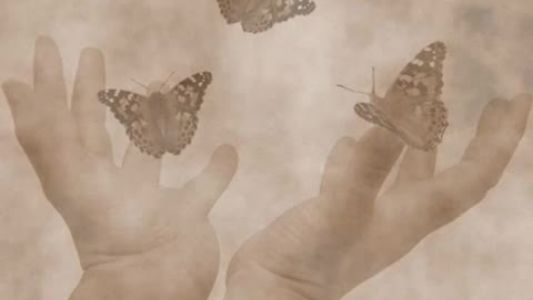 Norah Jones - Butterflies