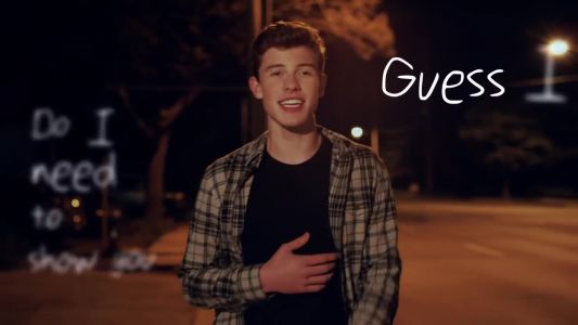 Shawn Mendes - Show You