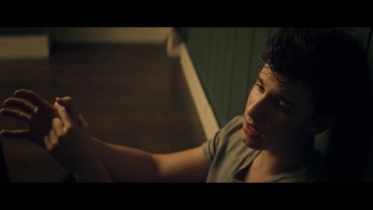 Shawn Mendes - Treat You Better