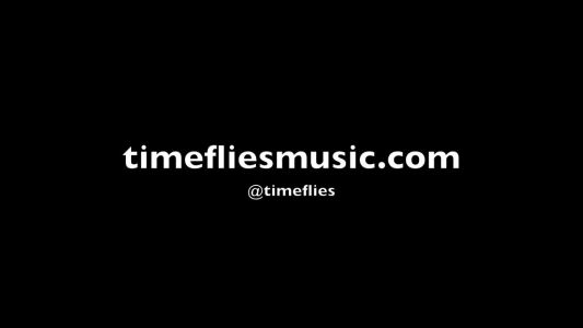Timeflies - Wild Ones