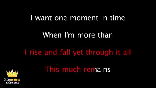 Whitney Houston - One Moment in Time