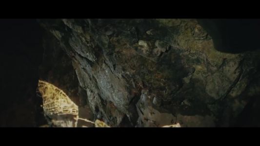 Zedd - One Strange Rock